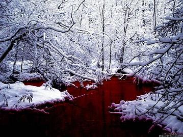 20051228190256-copia-de-bosque-sangriento.jpg