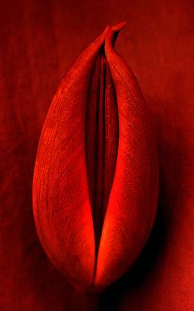 20070115232709-semilla2.jpg