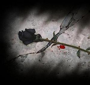 rosa_negra.jpg