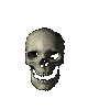 skull.gif
